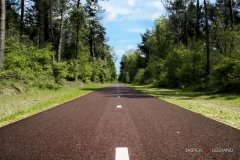 "Bikepath holland" / Photographer - Jasper Legrand