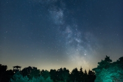 "Milkyway at hallerforest - Holland 07-18 " / Photographer - Jasper Legrand