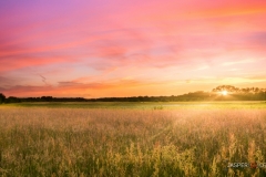 "Sunset Tilburg-Holland" / Photographer - Jasper Legrand