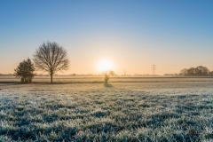 "Sunrise after freezing night  Tilburg - Holland" / Photographer - Jasper Legrand